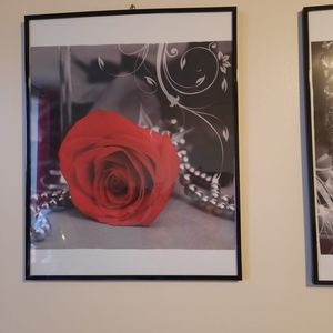 Meet your Posher, Dorothy